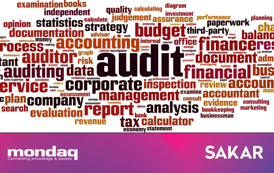 The Decision Amending The Decision On The Determination Of Companies Subject To Independent Audit
